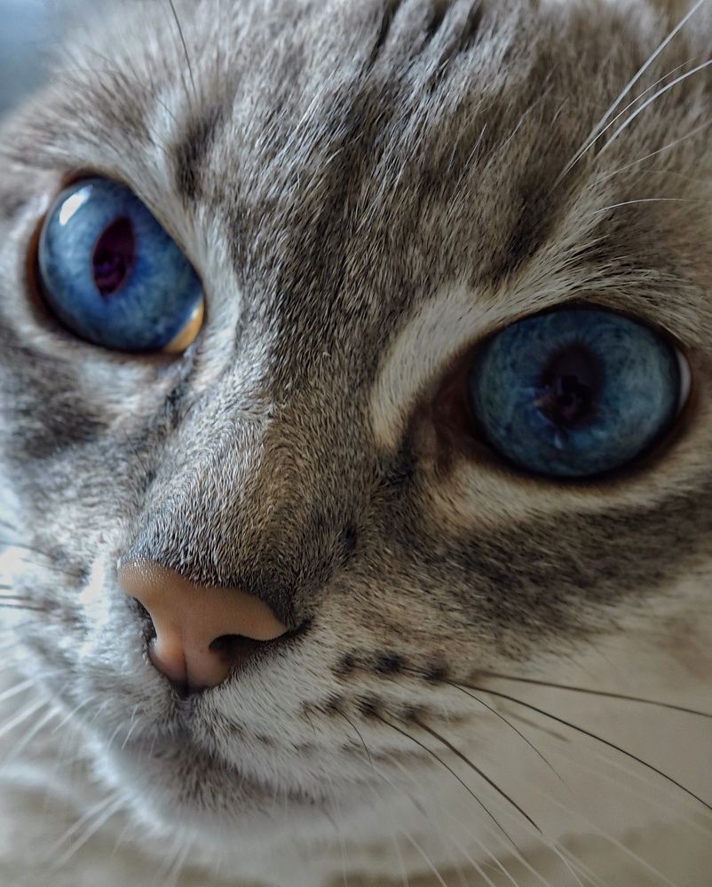 Photograph by Олеся Зеленщикова