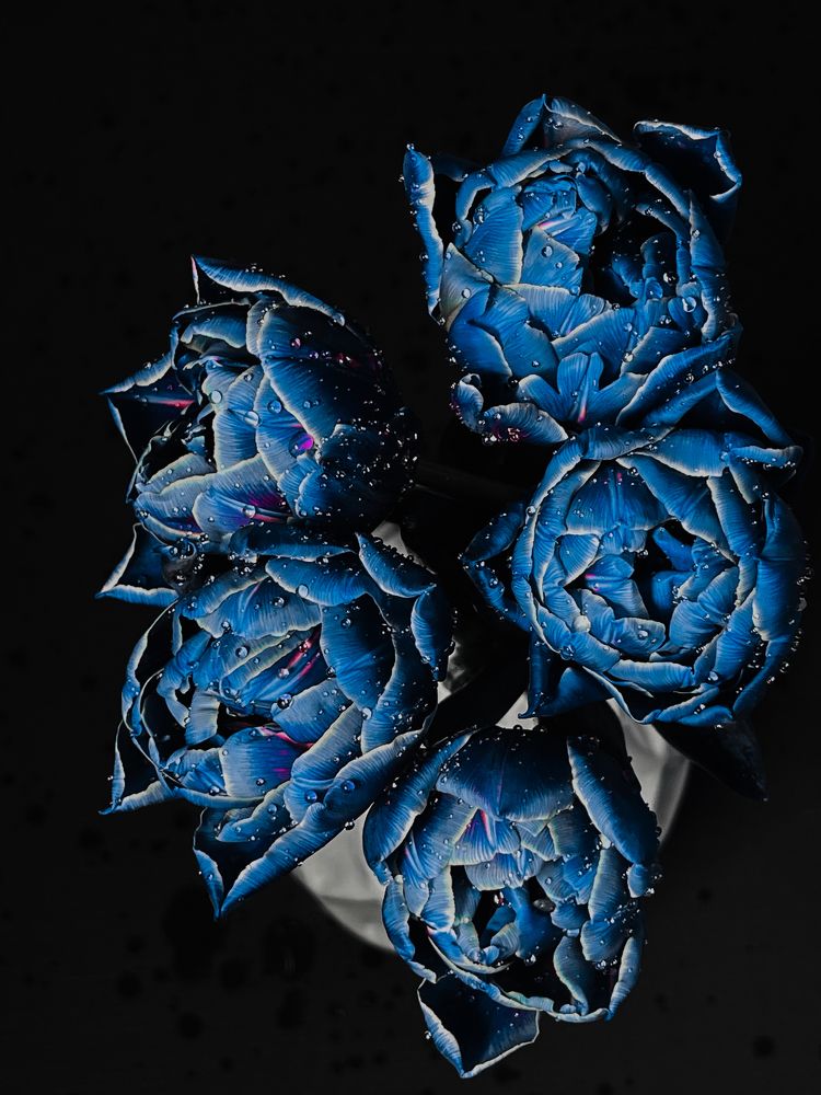 Photograph by Олена Уманцева