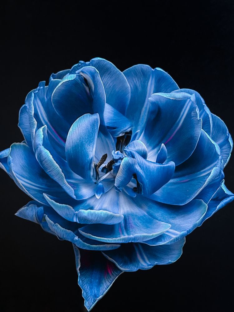 Photograph by Олена Уманцева