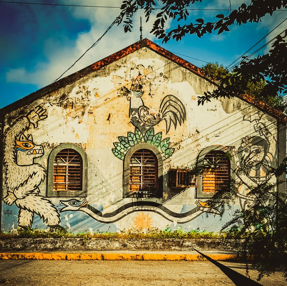 Фотография автора Walfrido Alexandre