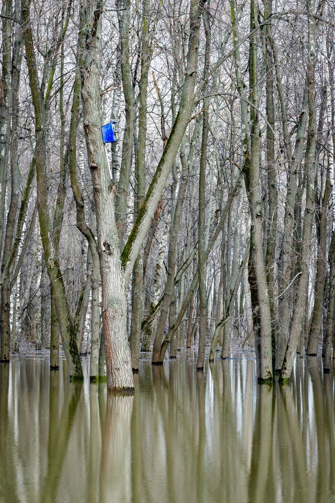 Photograph by Алексей Епишкин