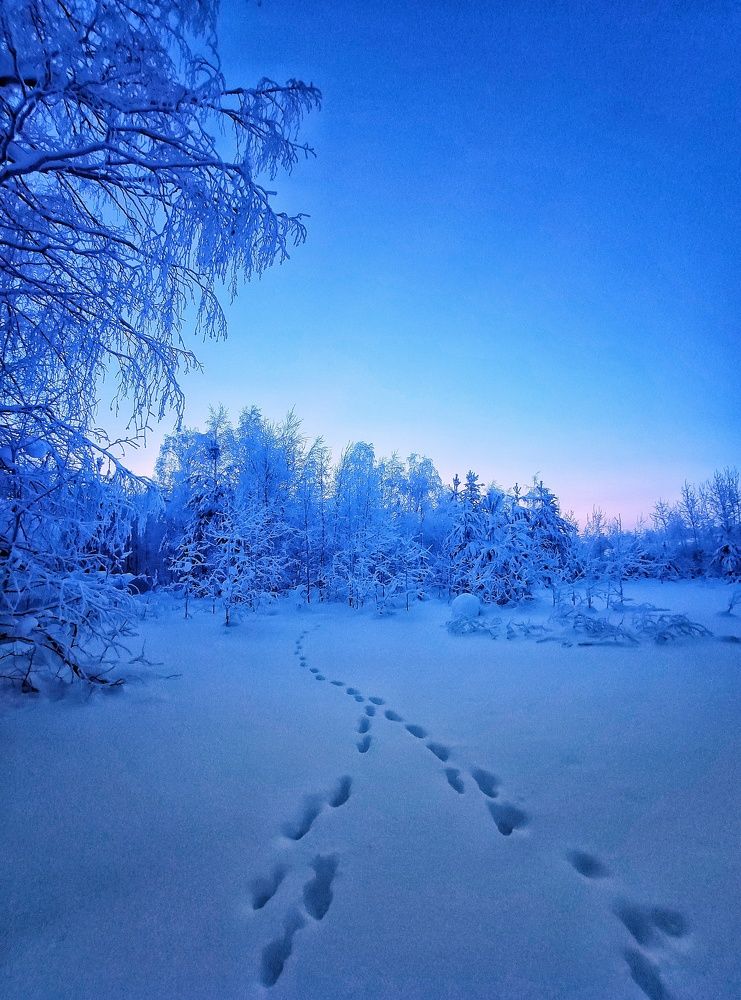Фотография автора Оксана Радзиевская