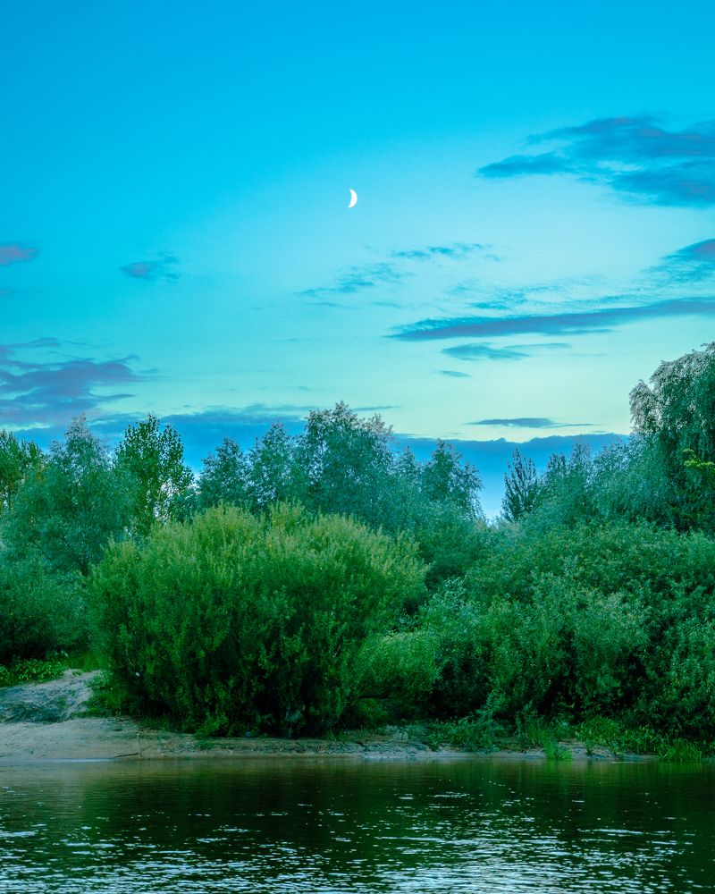 Фотография автора Анастасия Роговцова