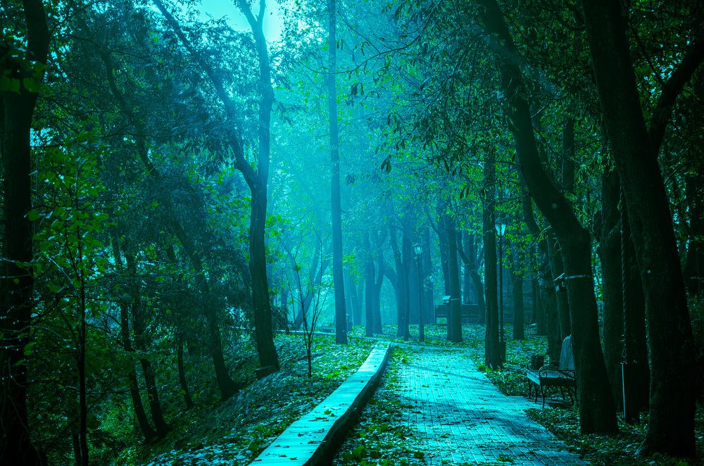 Фотография автора Анастасия Роговцова