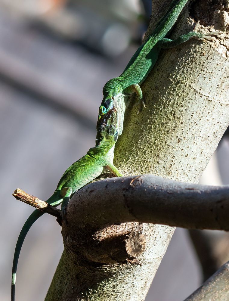 Photograph by Анатолий Костерев