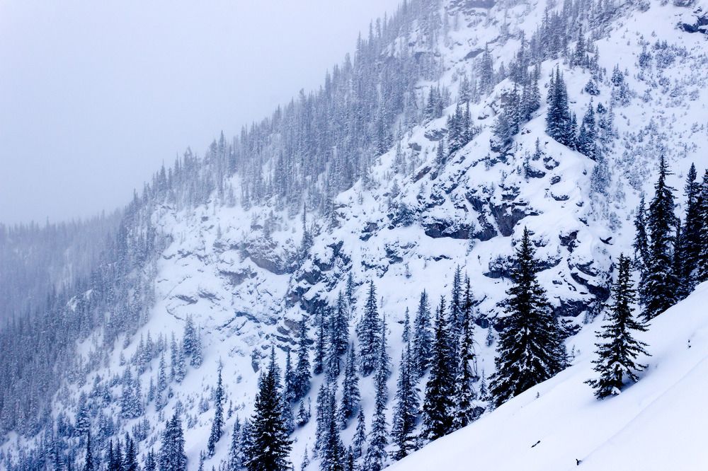 Photograph by Анатолий Костерев