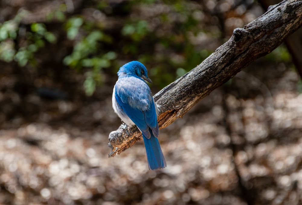 Photograph by Анатолий Костерев