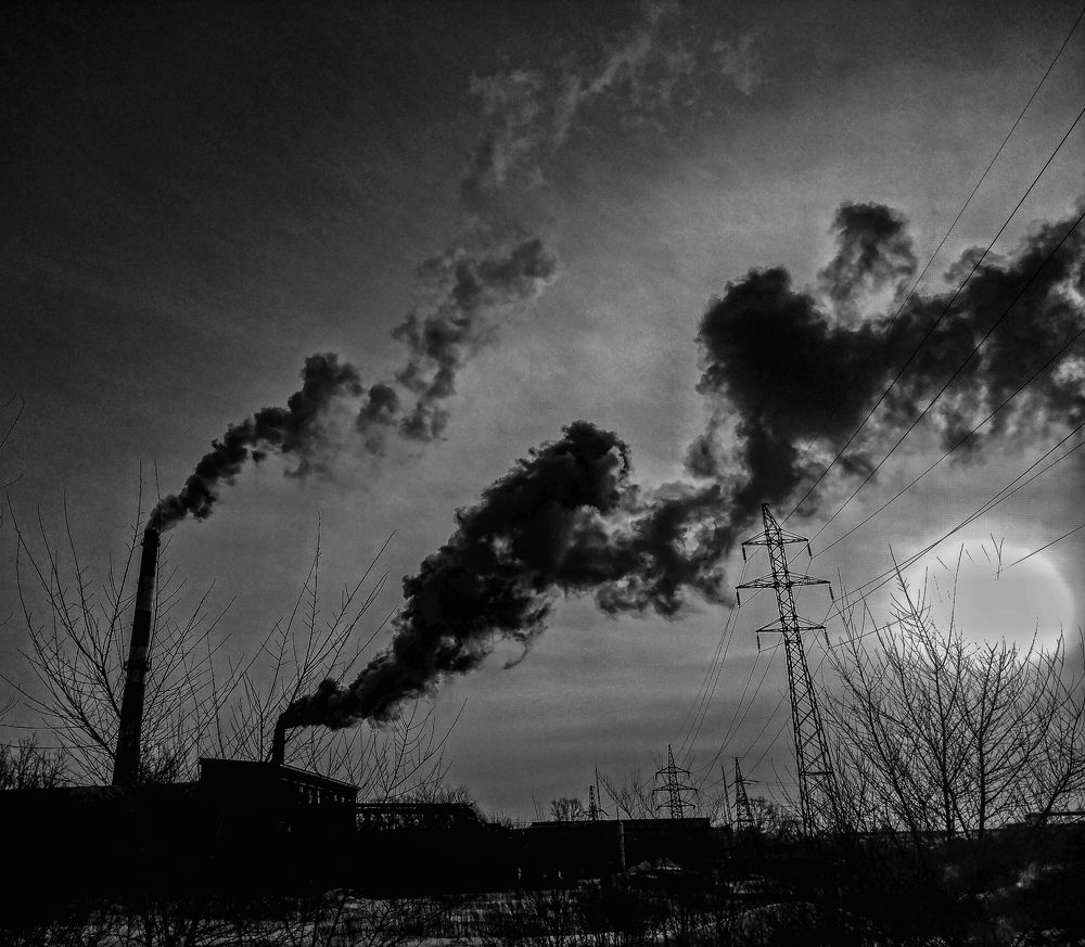 Photograph by Moroz Alex