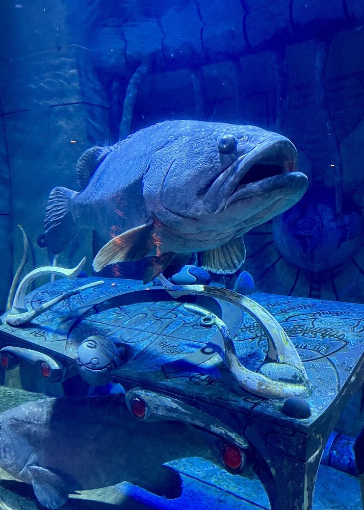 Photograph by Ольга Белоусова