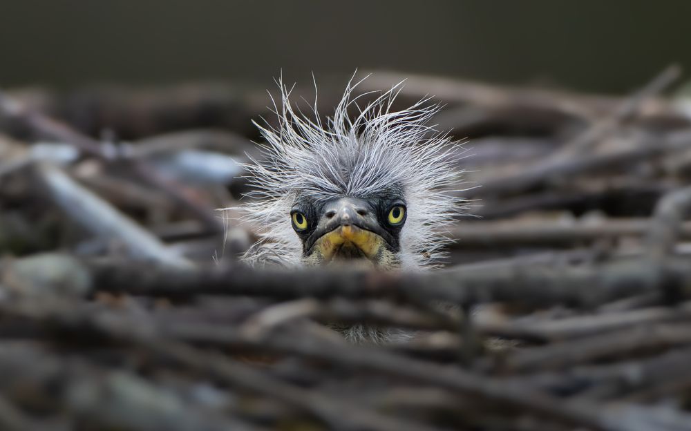 Photograph by Matteo Gaglio