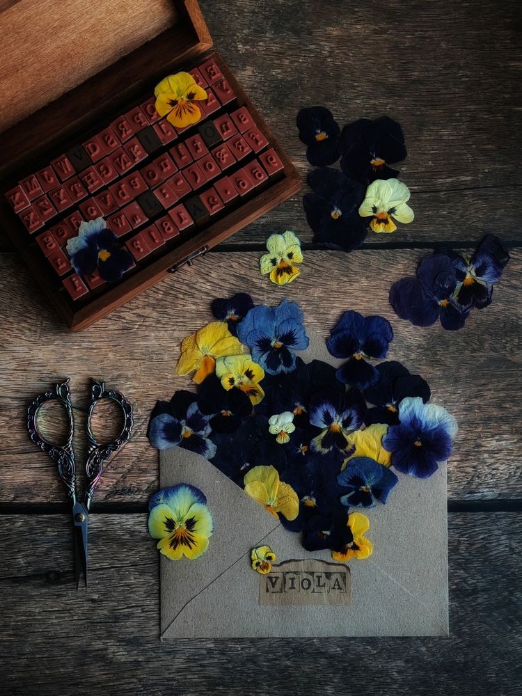 Photograph by Maria Stankevich