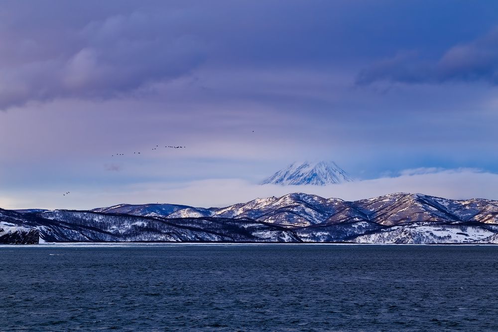 в утреннем тумане
