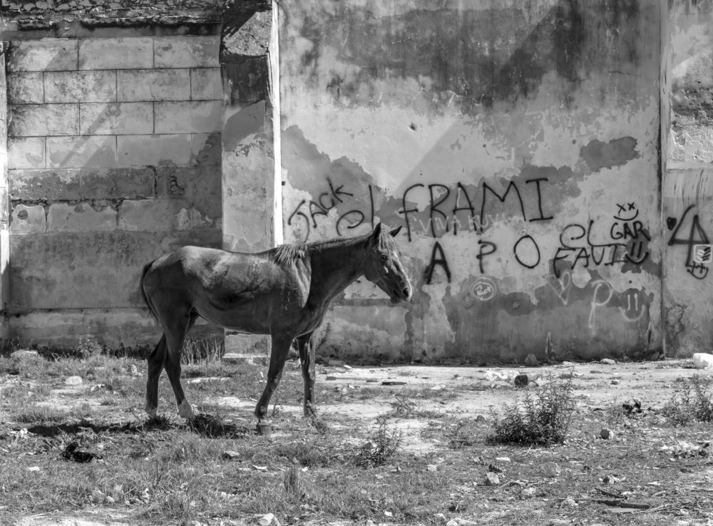 Photograph by Deryl Varela Cienfuegos