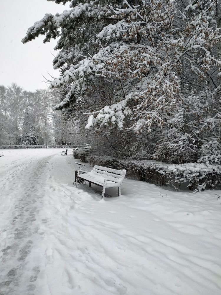 Photograph by Татьяна Гульпа