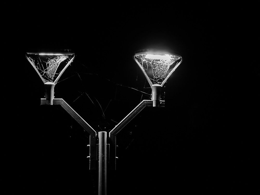 Photograph by Алексей Швецов