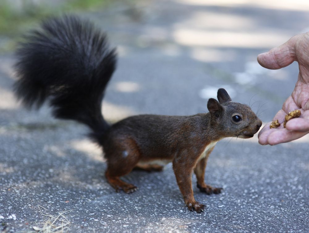 Photograph by Елена Ивашина