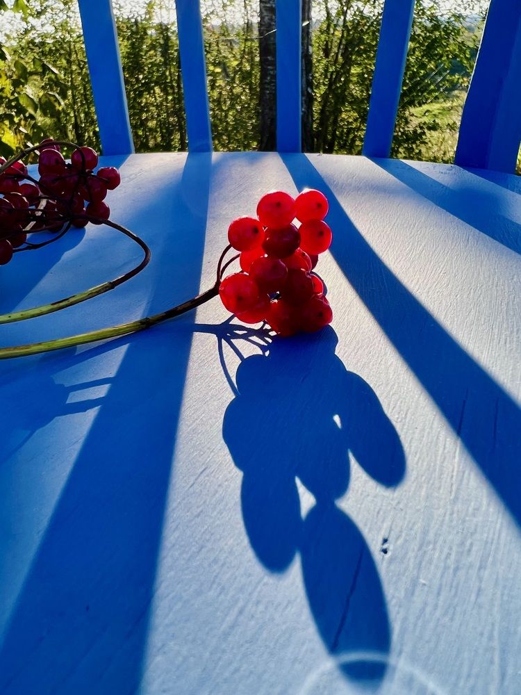 Фотография автора Ожегова Наталья