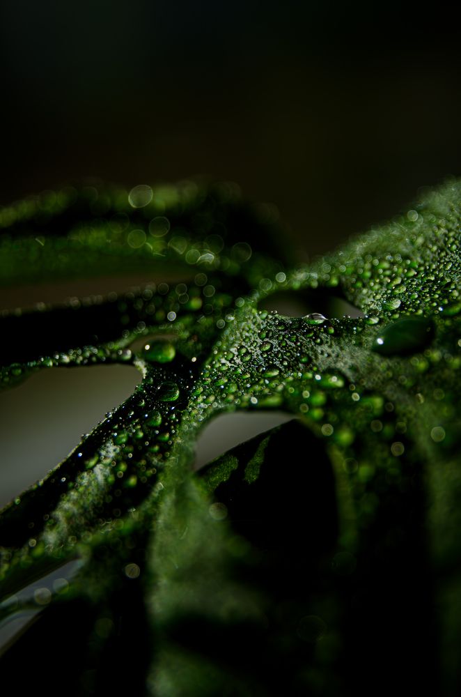 Photograph by Oksana Kuzmina