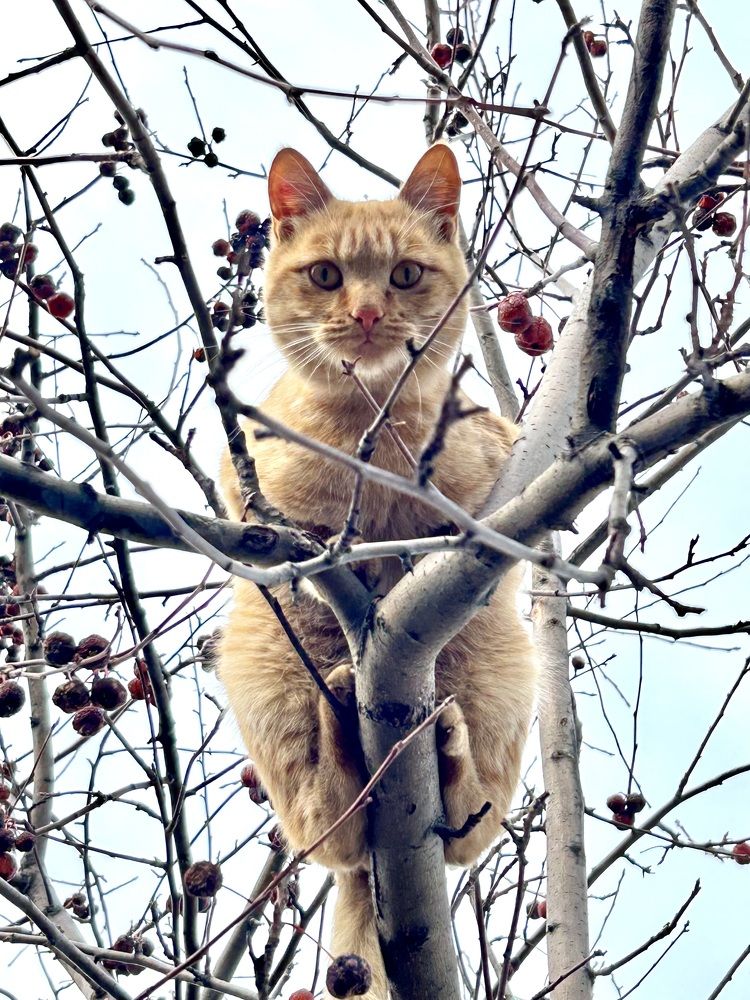 Photograph by Светлана Фёдорова