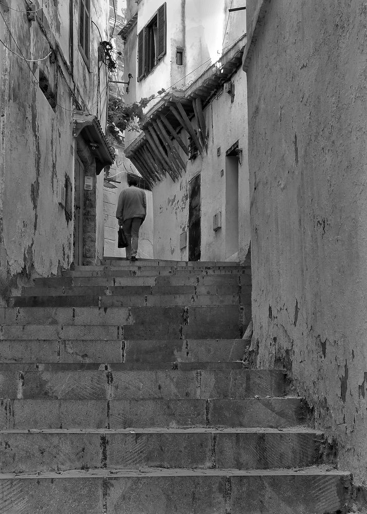 Фотография автора Brahim