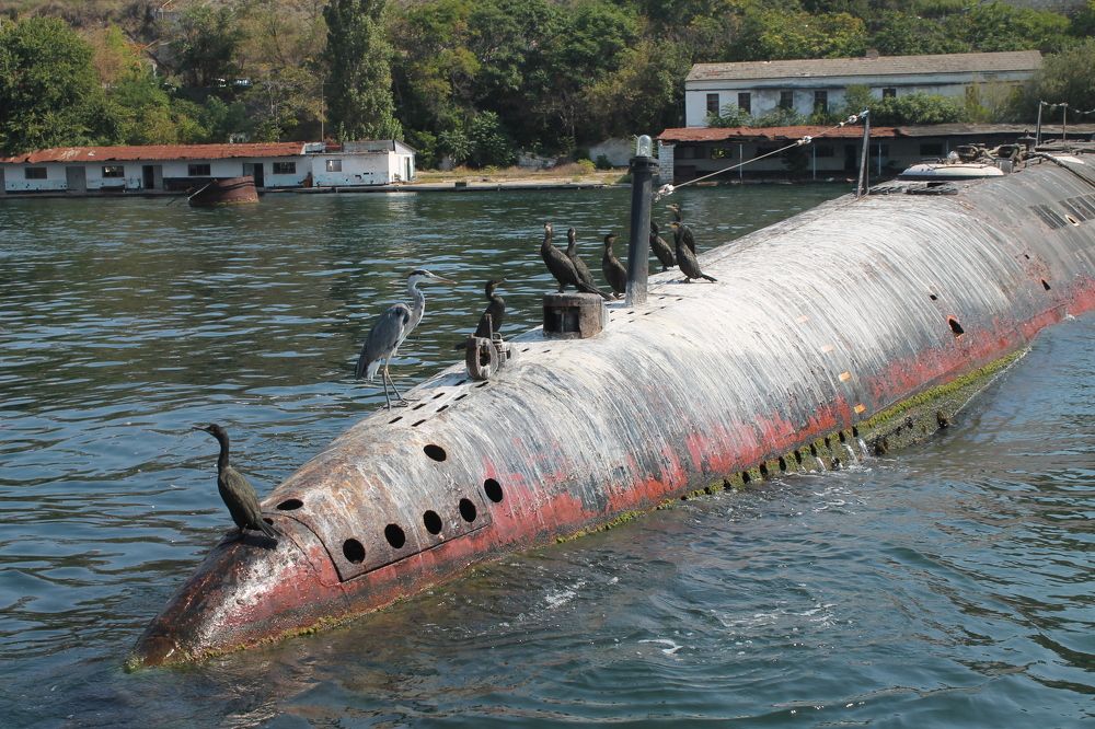 Photograph by Алла Бойко