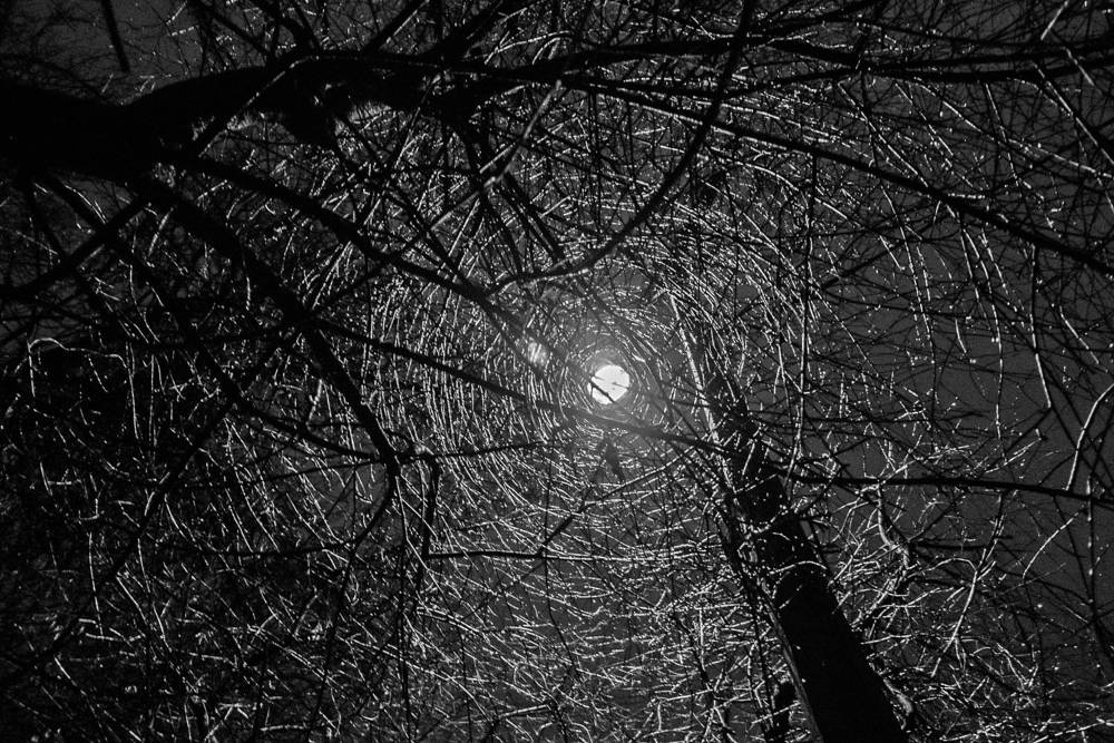 Photograph by Валерий Клейменов