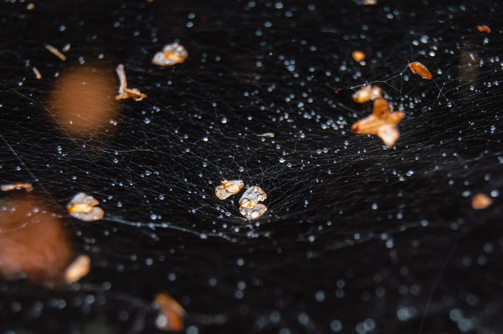 Фотография автора Мария Михайлова