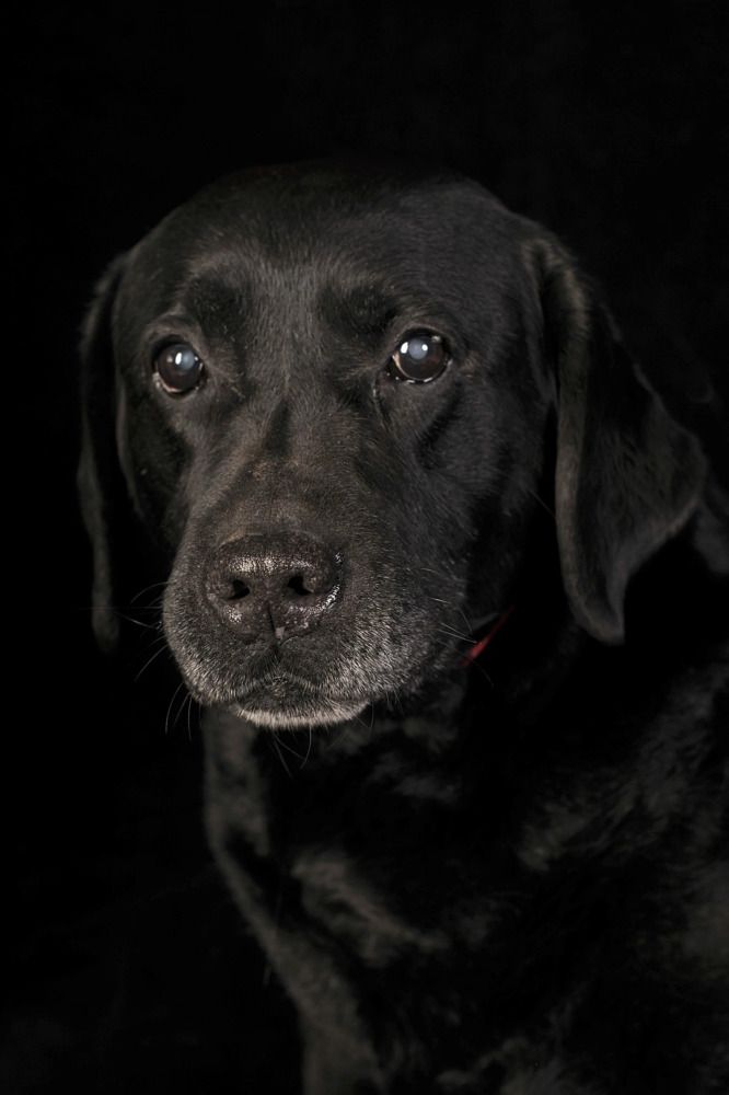 Photograph by Мария Лавриненко