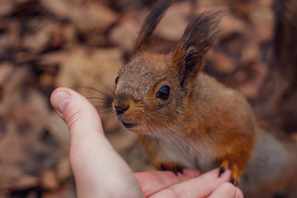 Фотография автора Таисия