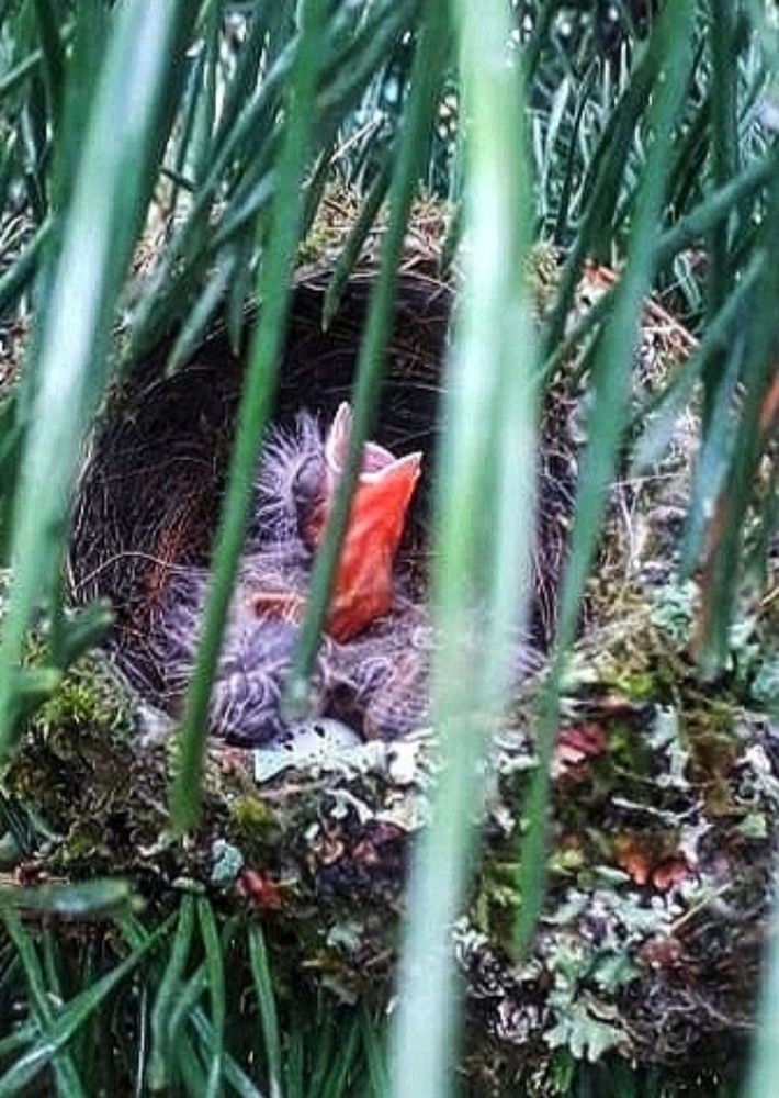 Photograph by Анна Андреевна