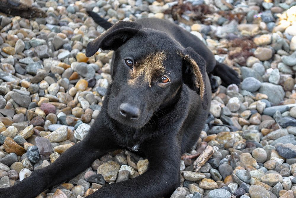 Photograph by Людмила Прибылова