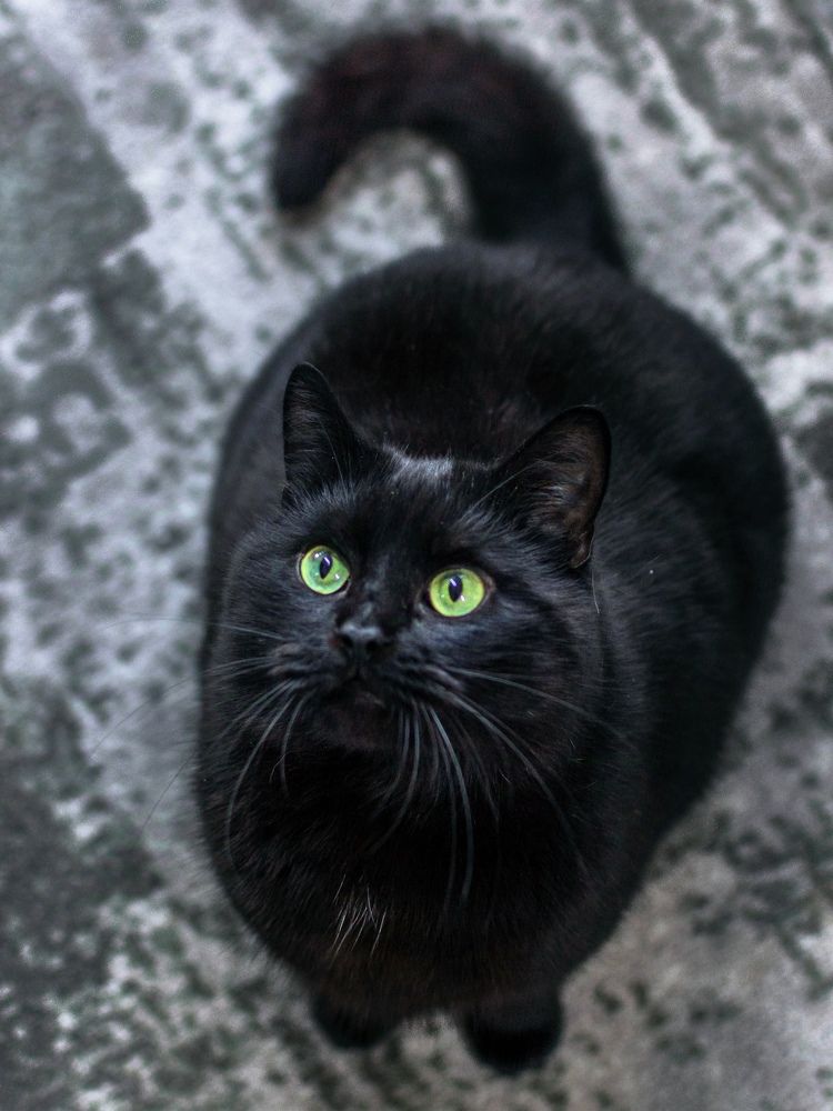 Photograph by Людмила Прибылова