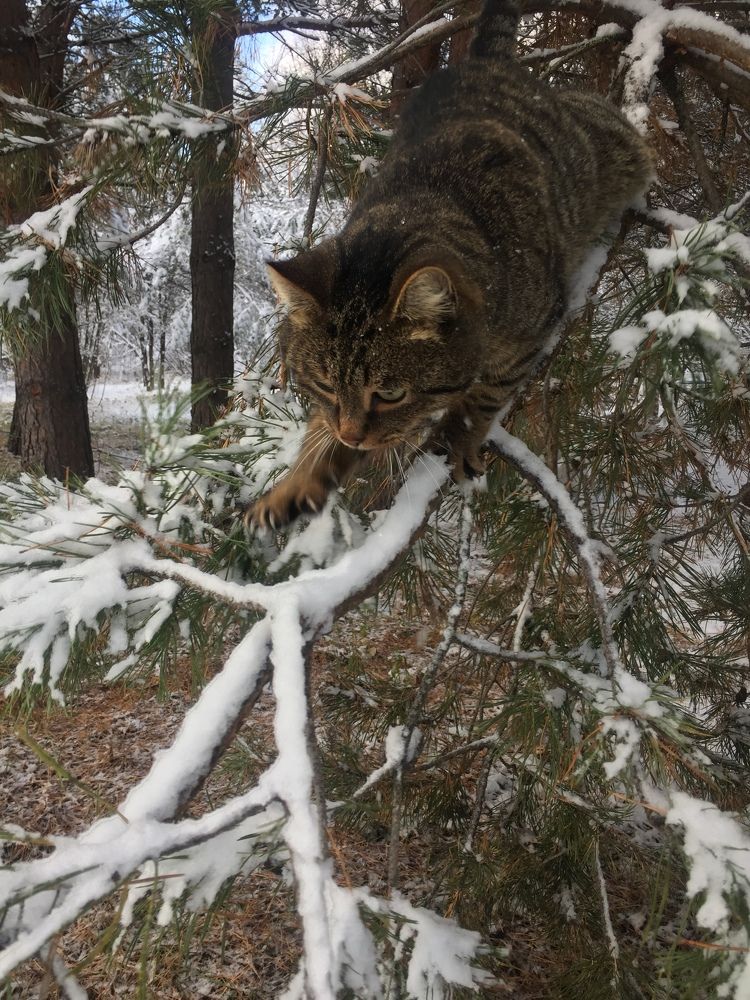 Photograph by Светлана Петрова