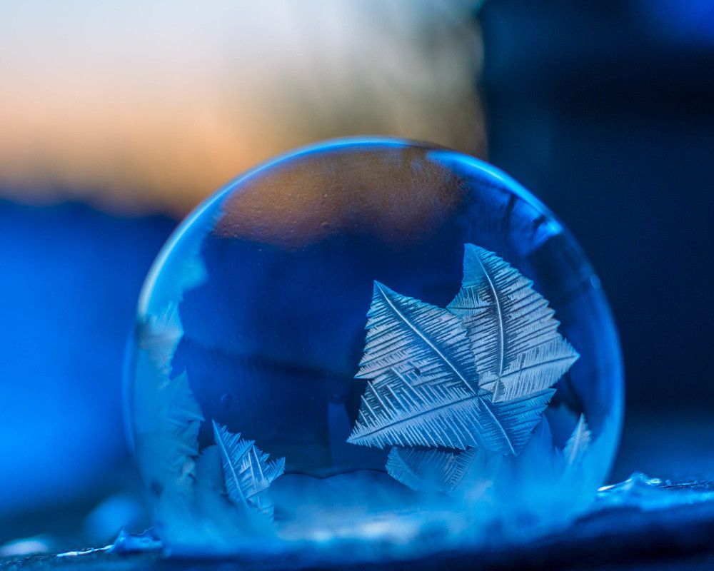 Photograph by Людмила Прибылова