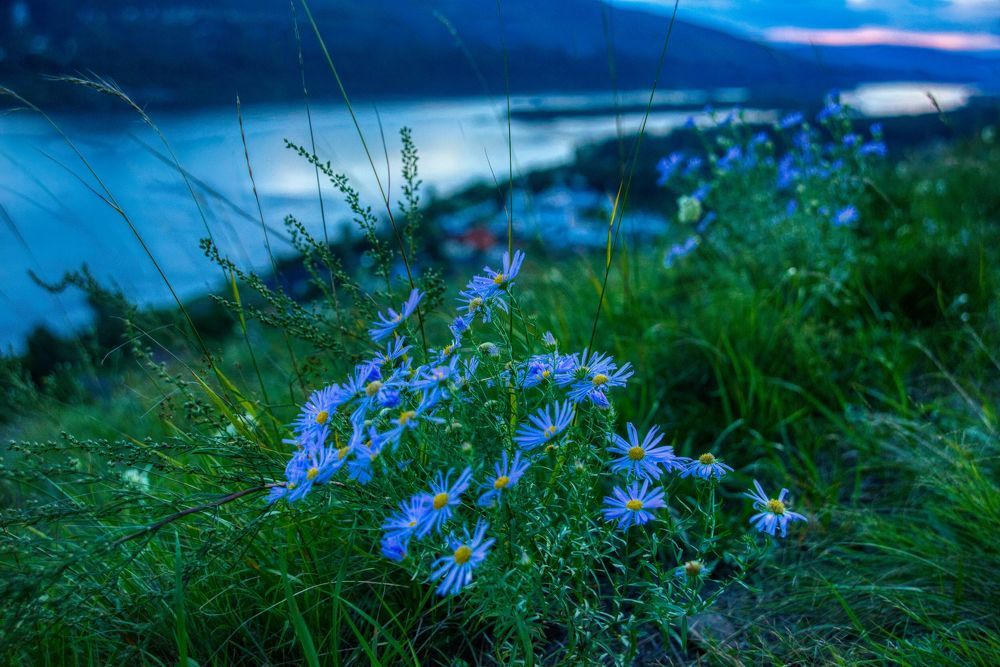 Photograph by Наталья Дроздова