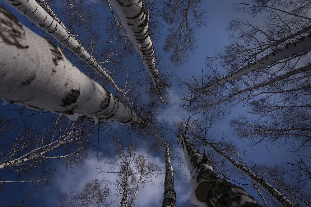 Photograph by Наталья Дроздова