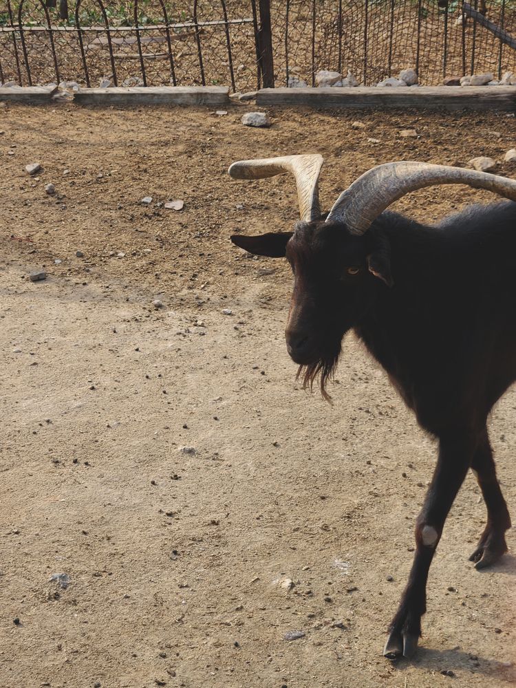 Photograph by Ahmed Ehab Akl