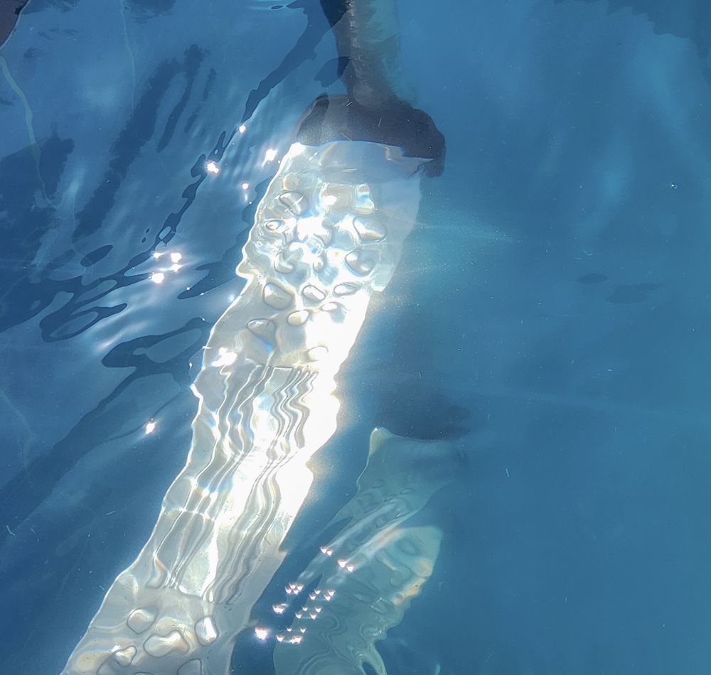 Photograph by Ahmed Ehab Akl