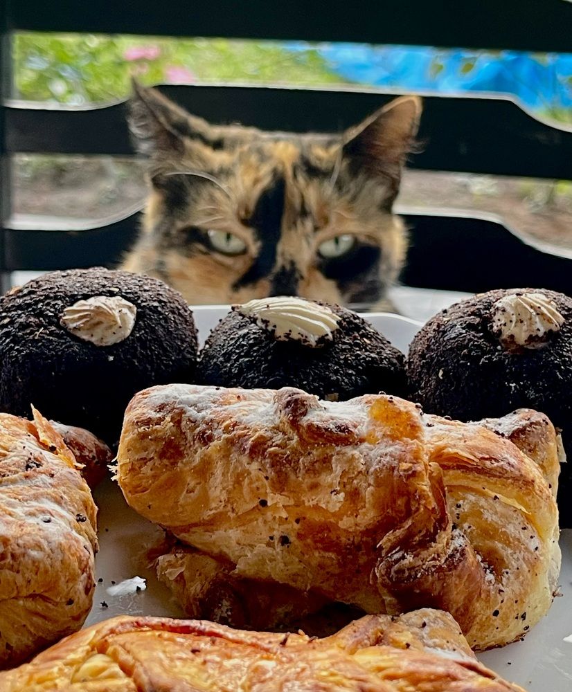 Photograph by Екатерина Павловец