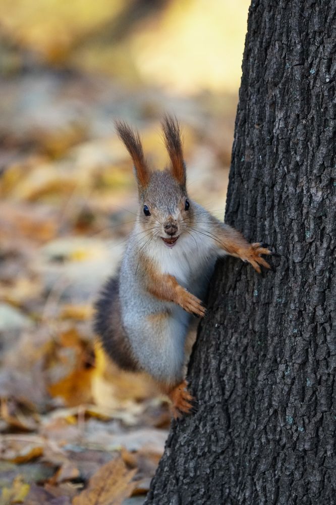 Photograph by  александр