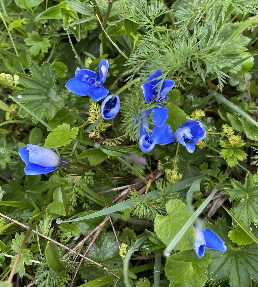 Photograph by Алиса Лукина