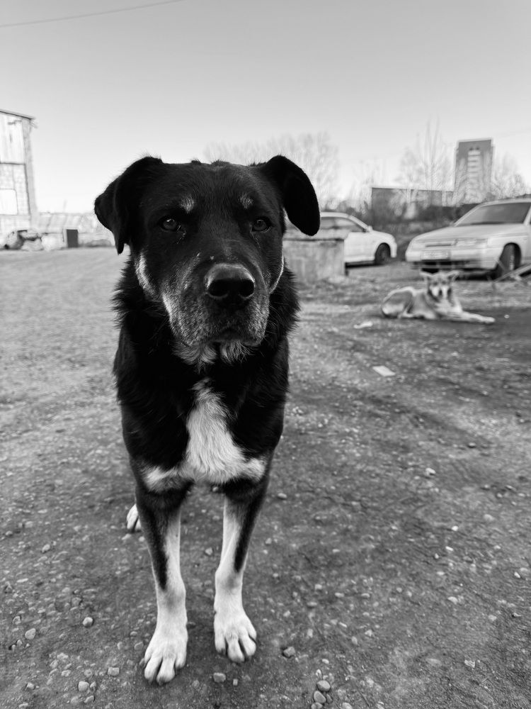 Фотография автора Ольга Васильева