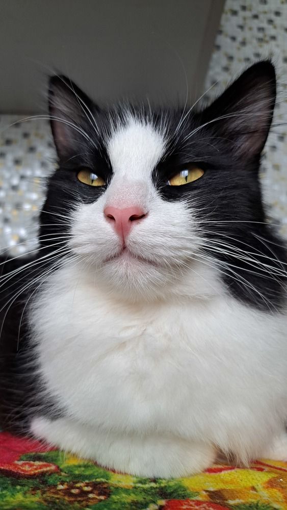 Photograph by Елизавета Силова