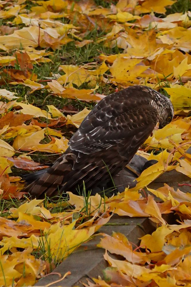 Photograph by Светлана