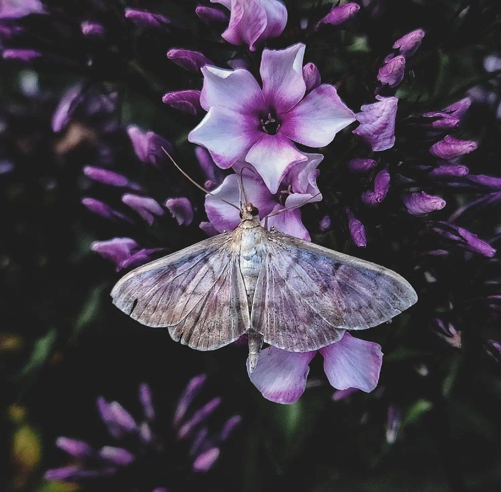 Фотография автора Татьяна Сякина