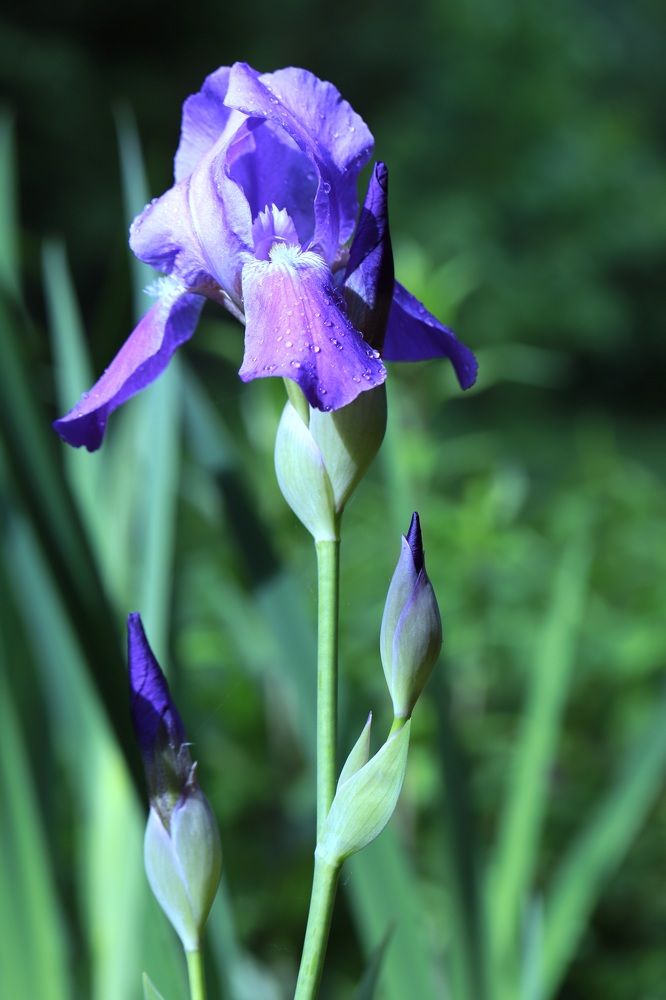 Photograph by Елена Тимченко