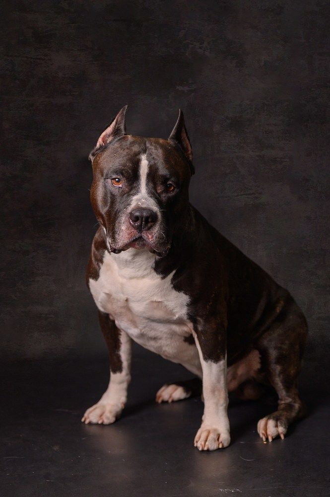 Photograph by Елена Савченкова