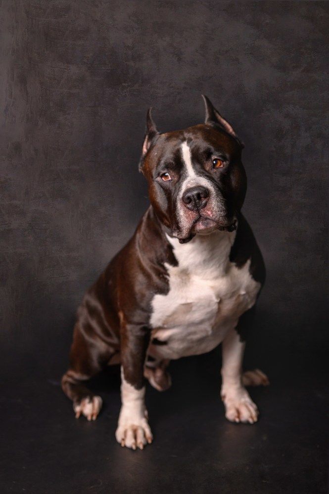 Photograph by Елена Савченкова