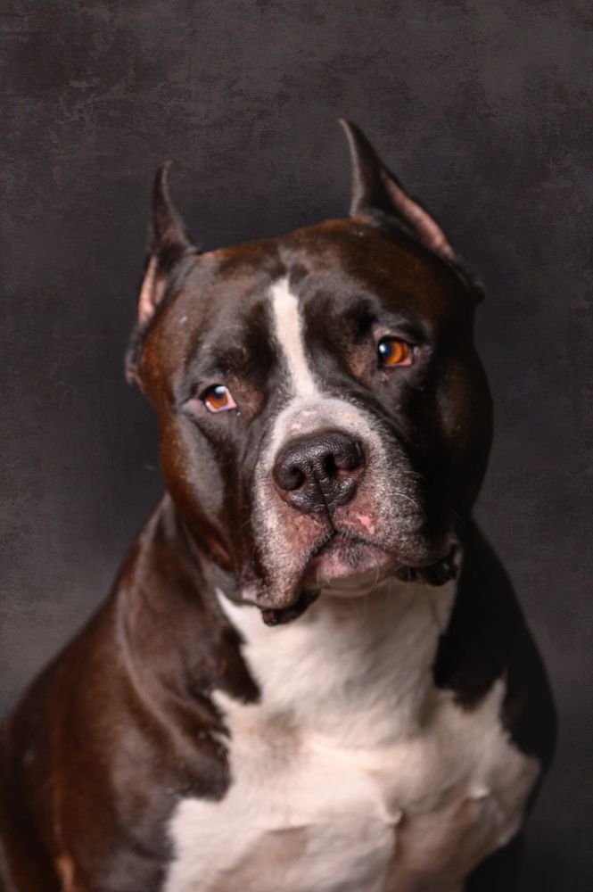 Photograph by Елена Савченкова