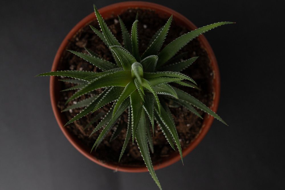 Photograph by Марина Магадиева